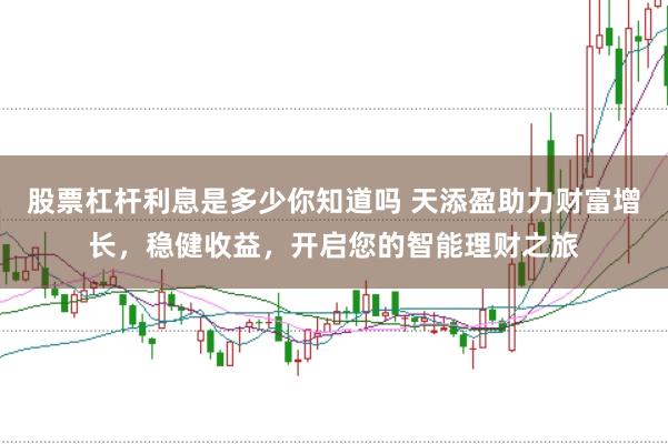 股票杠杆利息是多少你知道吗 天添盈助力财富增长，稳健收益，开启您的智能理财之旅