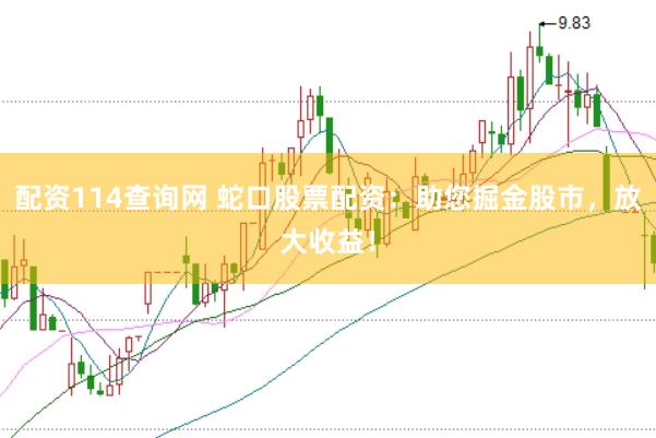 配资114查询网 蛇口股票配资：助您掘金股市，放大收益！