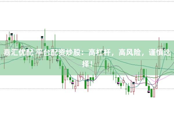嘉汇优配 平台配资炒股：高杠杆，高风险，谨慎选择！