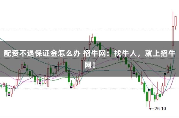 配资不退保证金怎么办 招牛网：找牛人，就上招牛网！