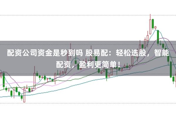 配资公司资金是秒到吗 股易配：轻松选股，智能配资，盈利更简单！