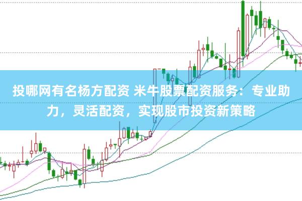 投哪网有名杨方配资 米牛股票配资服务：专业助力，灵活配资，实现股市投资新策略