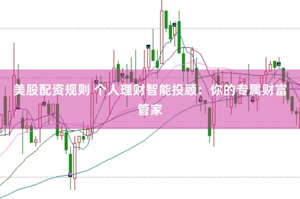 美股配资规则 个人理财智能投顾：你的专属财富管家