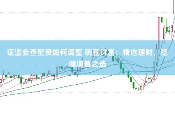 证监会查配资如何调整 豌豆财富：精选理财，稳健增值之选