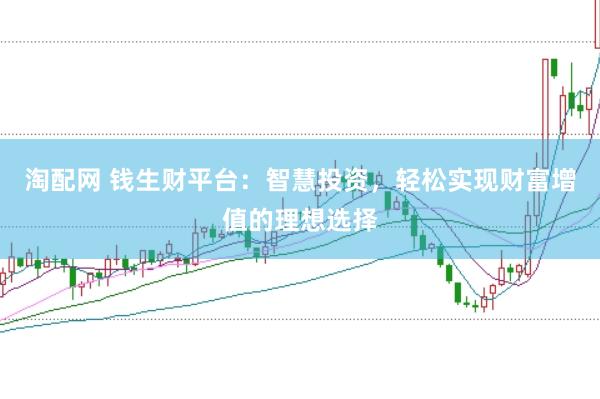 淘配网 钱生财平台：智慧投资，轻松实现财富增值的理想选择