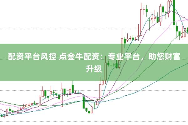 配资平台风控 点金牛配资：专业平台，助您财富升级