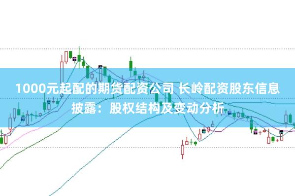 1000元起配的期货配资公司 长岭配资股东信息披露：股权结构及变动分析