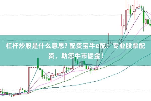 杠杆炒股是什么意思? 配资宝牛e配：专业股票配资，助您牛市掘金！