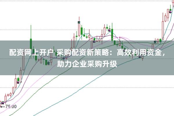 配资网上开户 采购配资新策略:高效利用资金,助力企业采购升级