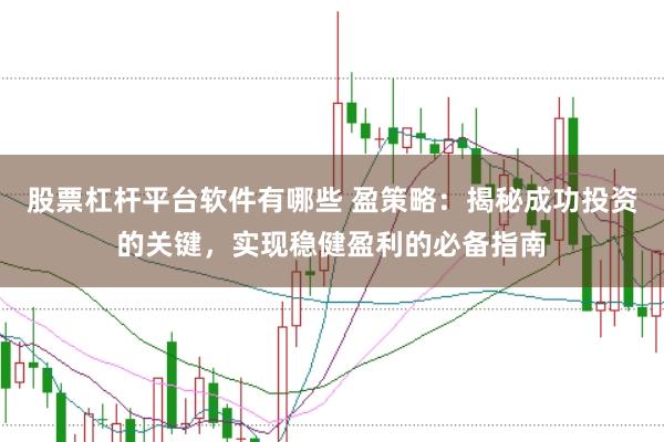 股票杠杆平台软件有哪些 盈策略：揭秘成功投资的关键，实现稳健盈利的必备指南