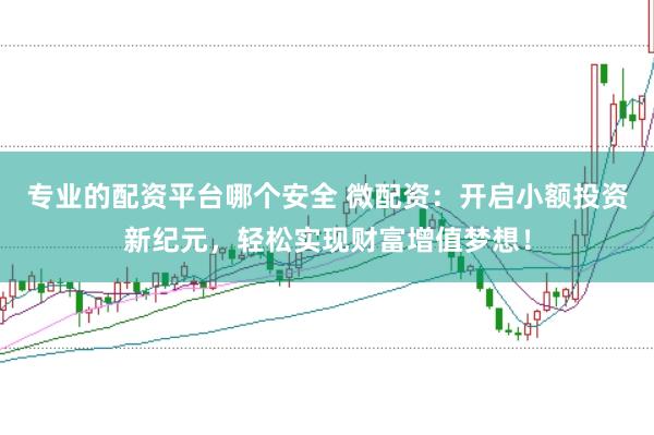 专业的配资平台哪个安全 微配资：开启小额投资新纪元，轻松实现财富增值梦想！