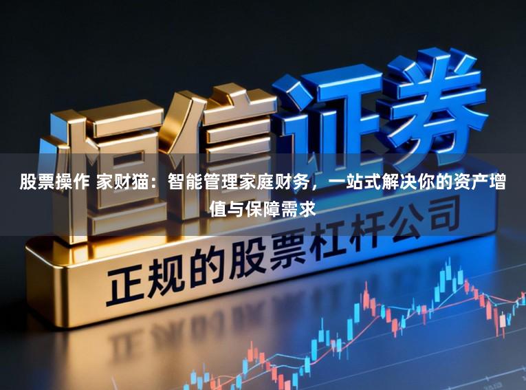 股票操作 家财猫：智能管理家庭财务，一站式解决你的资产增值与保障需求