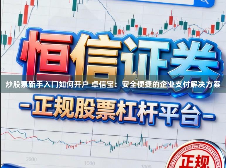 炒股票新手入门如何开户 卓信宝：安全便捷的企业支付解决方案