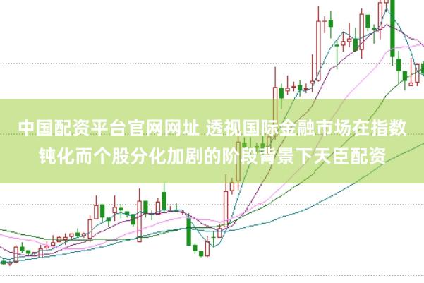 中国配资平台官网网址 透视国际金融市场在指数钝化而个股分化加剧的阶段背景下天臣配资